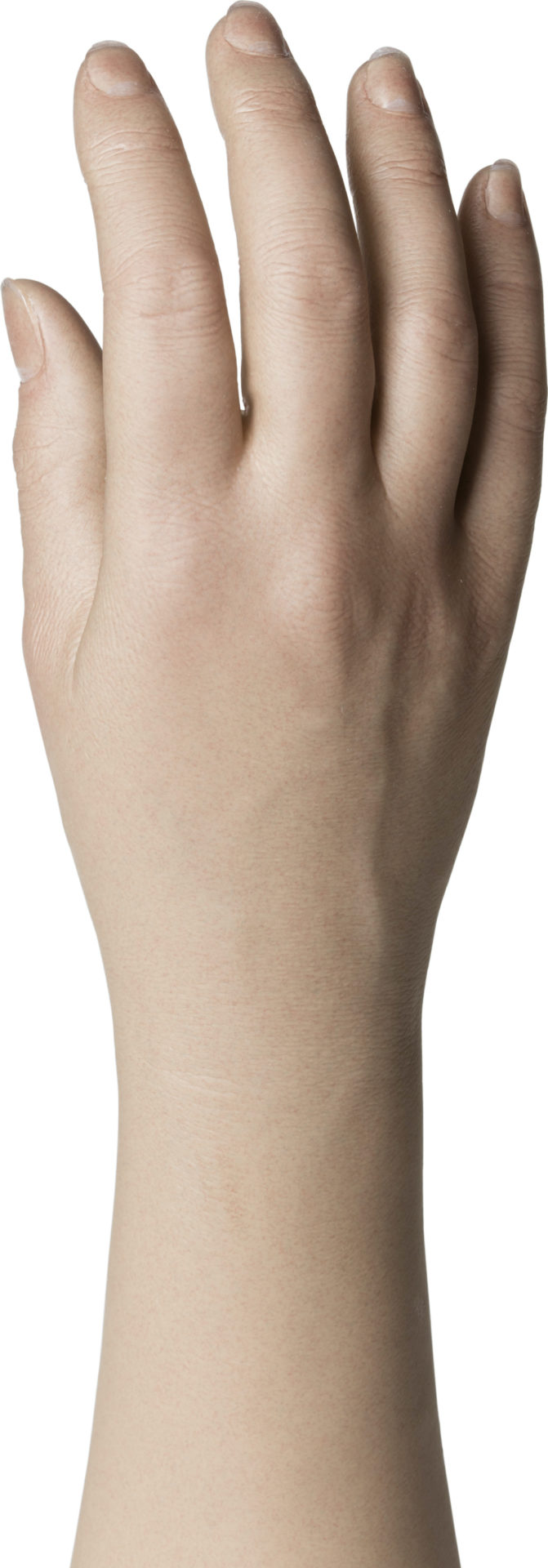 Natural Definition Glove Long fingers, Fillauer LLC